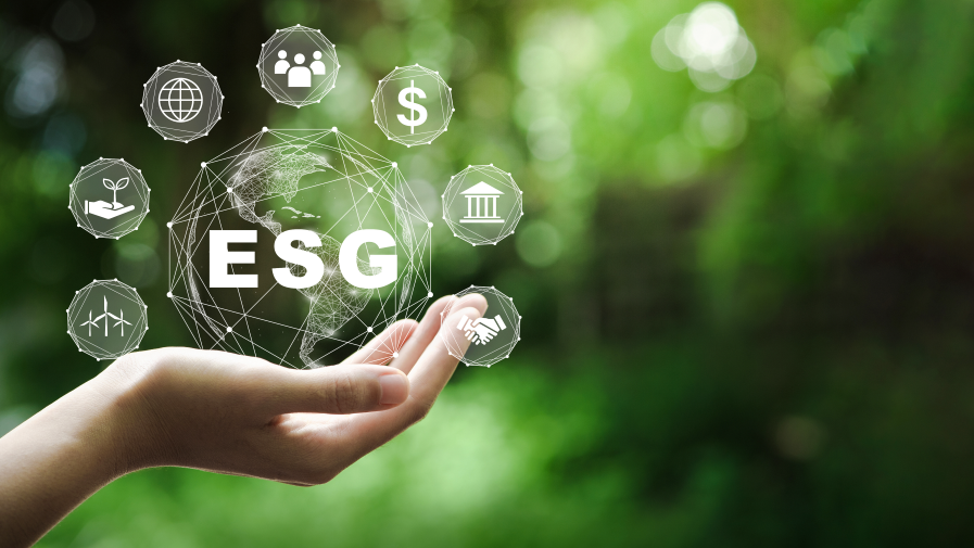 ESG Support Grant
